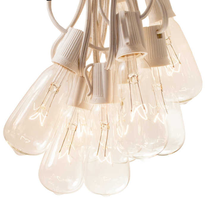 HometownEvolutionInc Edison String Lights Outdoor 50 Bulb Plugin
